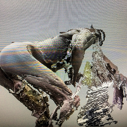 Interrupted 3D scan by artist Paul Coombs